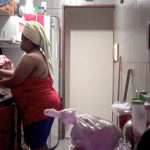 domestica (1)